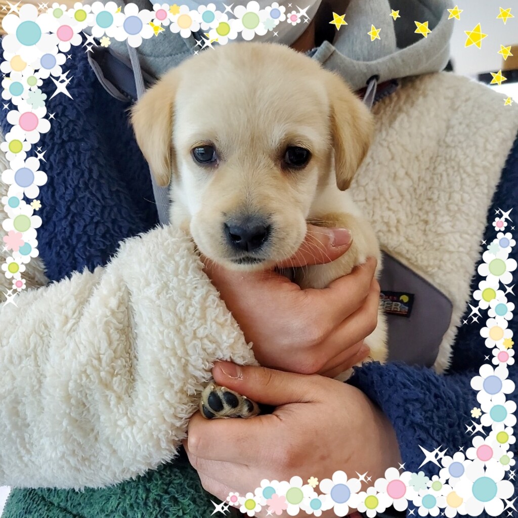 Ȯ�� �̹���