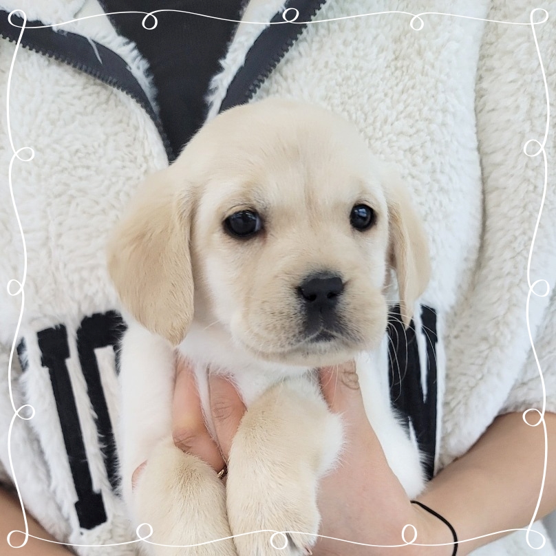 Ȯ�� �̹���