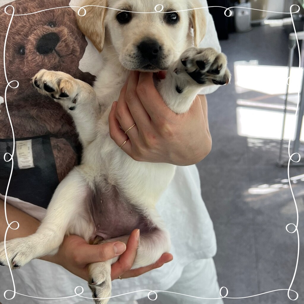 Ȯ�� �̹���