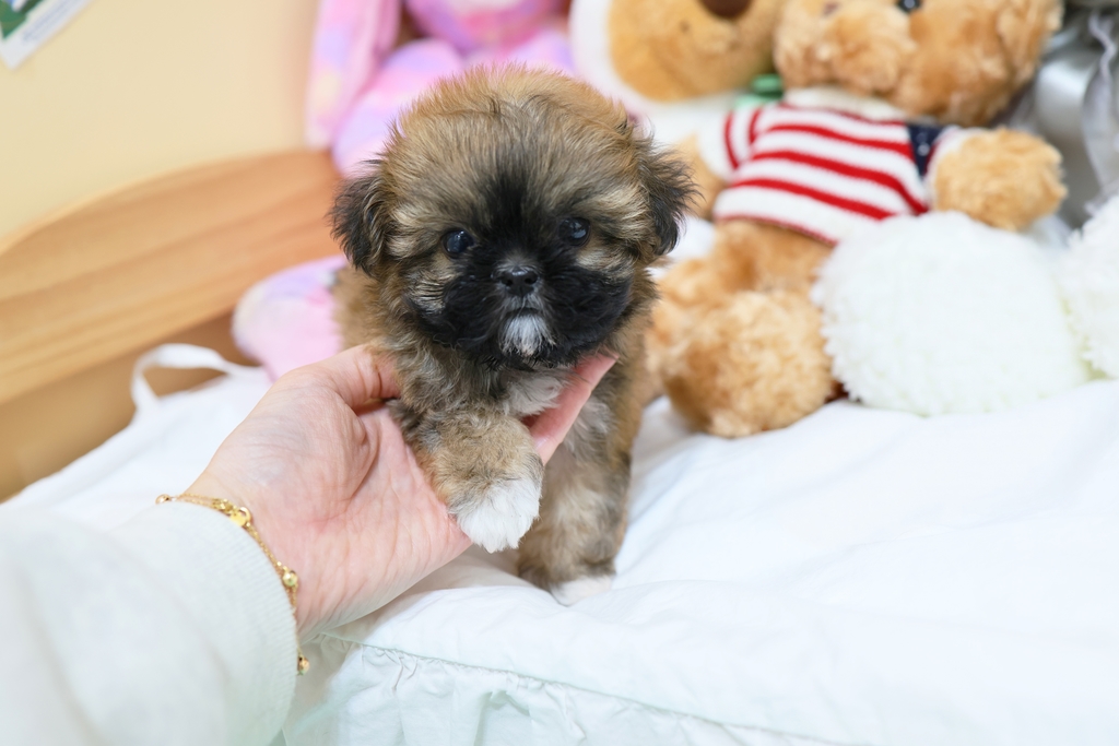 Ȯ�� �̹���