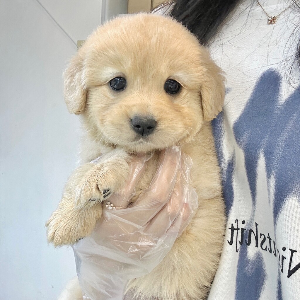 Ȯ�� �̹���