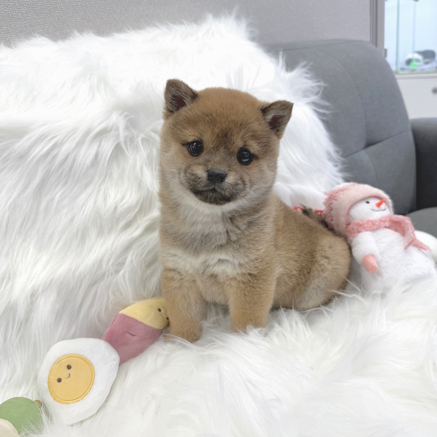 Ȯ�� �̹���