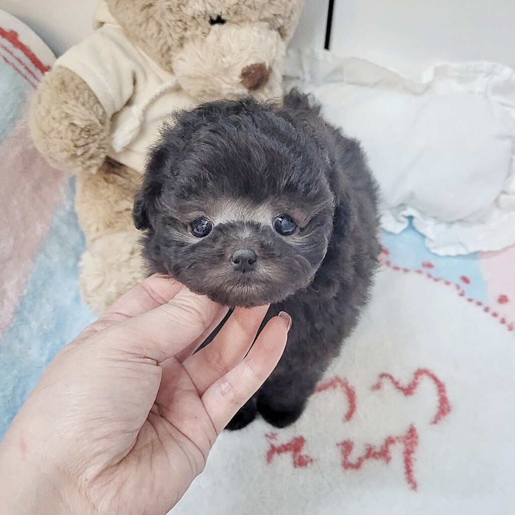 Ȯ�� �̹���