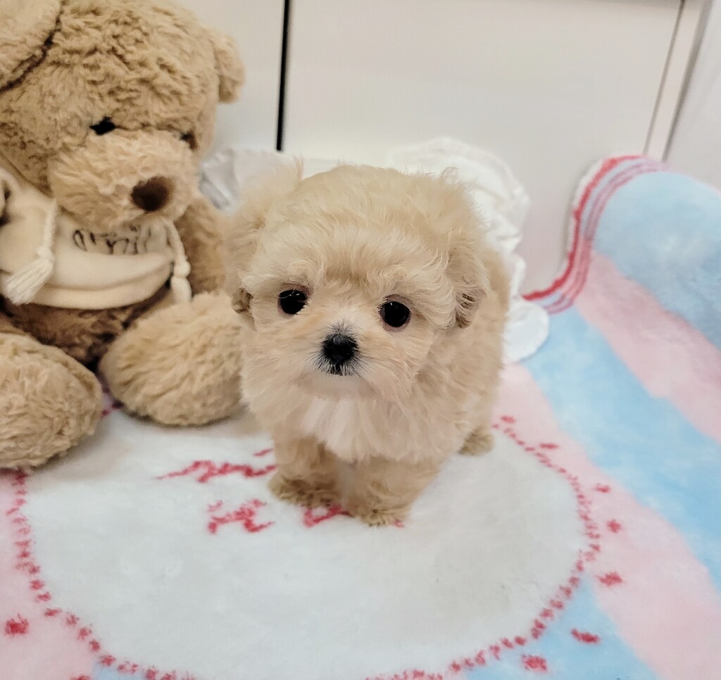 Ȯ�� �̹���