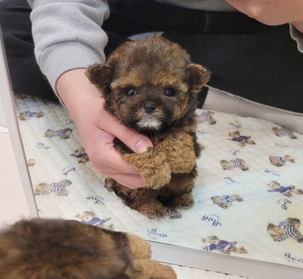 Ȯ�� �̹���