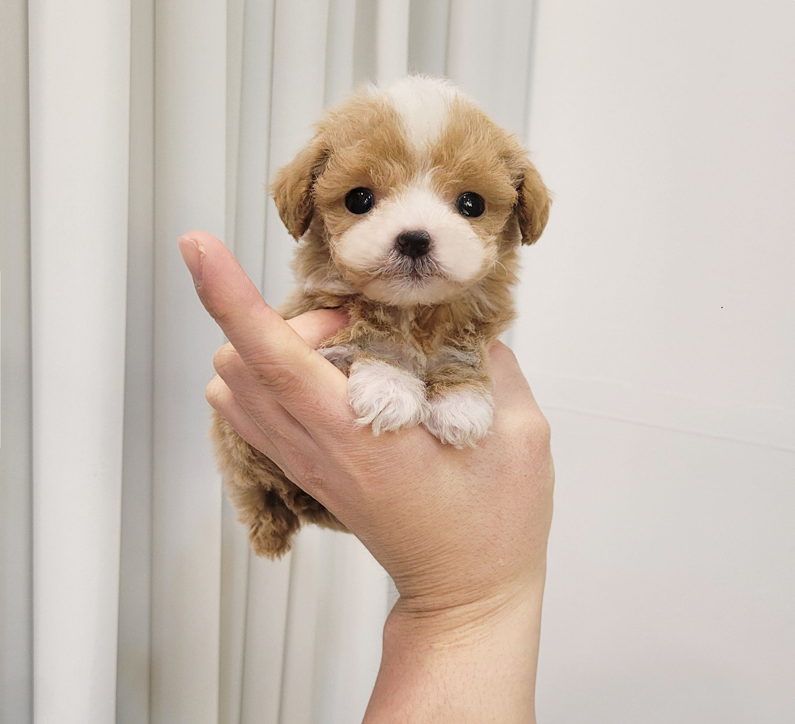 Ȯ�� �̹���