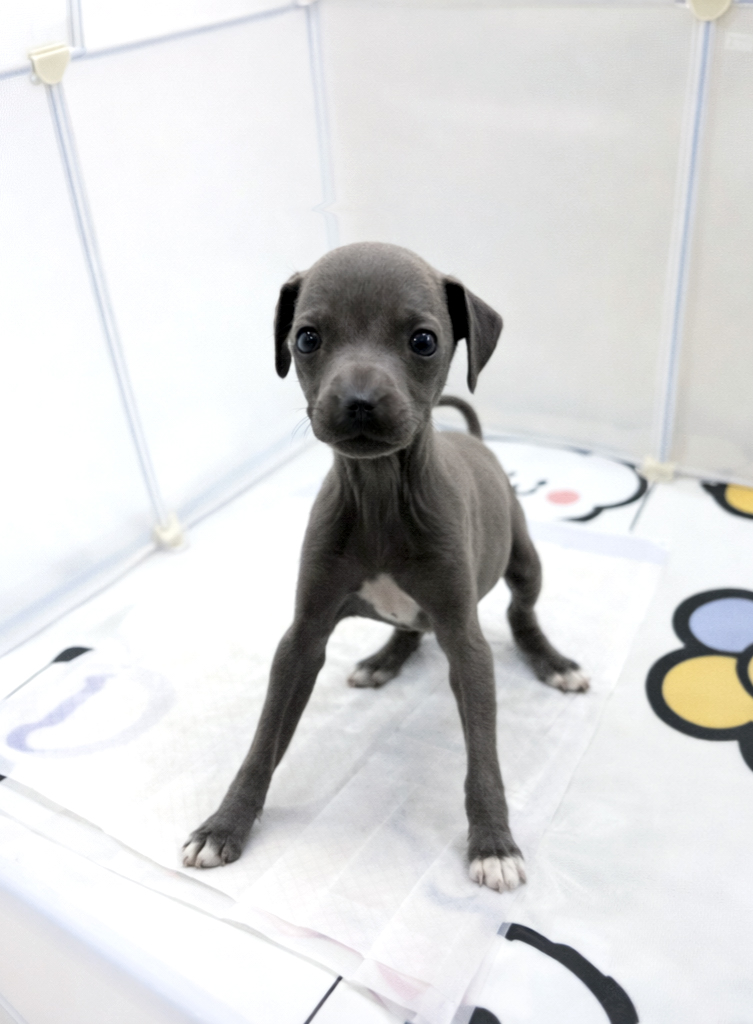 Ȯ�� �̹���