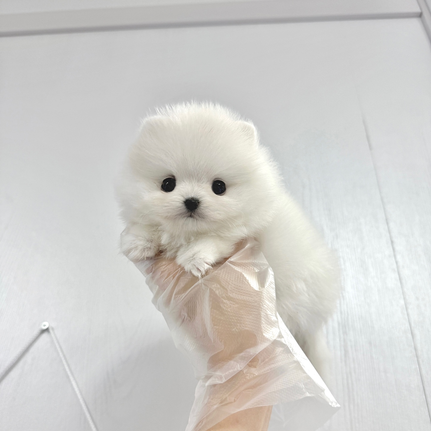 Ȯ�� �̹���