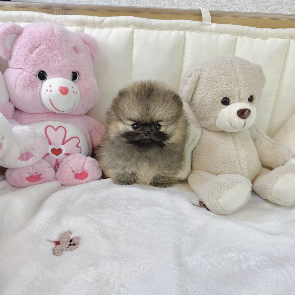 Ȯ�� �̹���