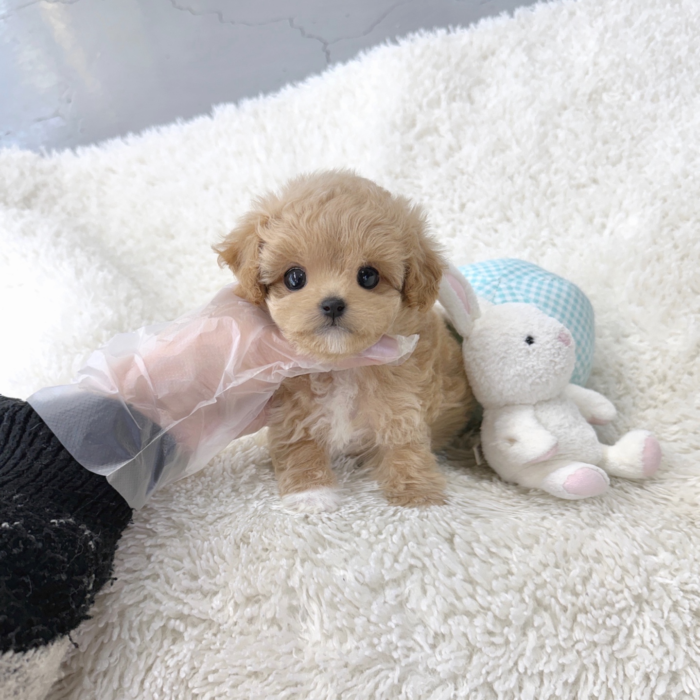 Ȯ�� �̹���