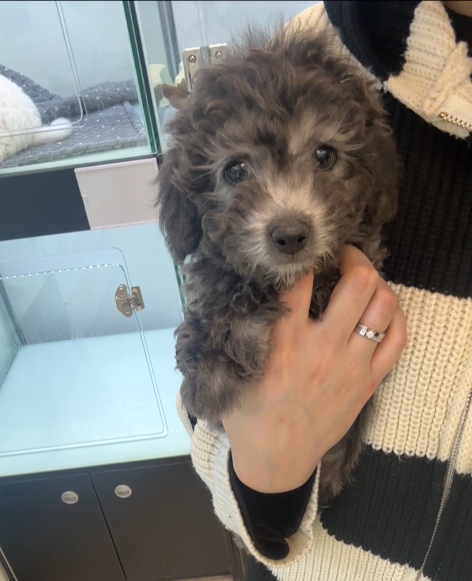 Ȯ�� �̹���