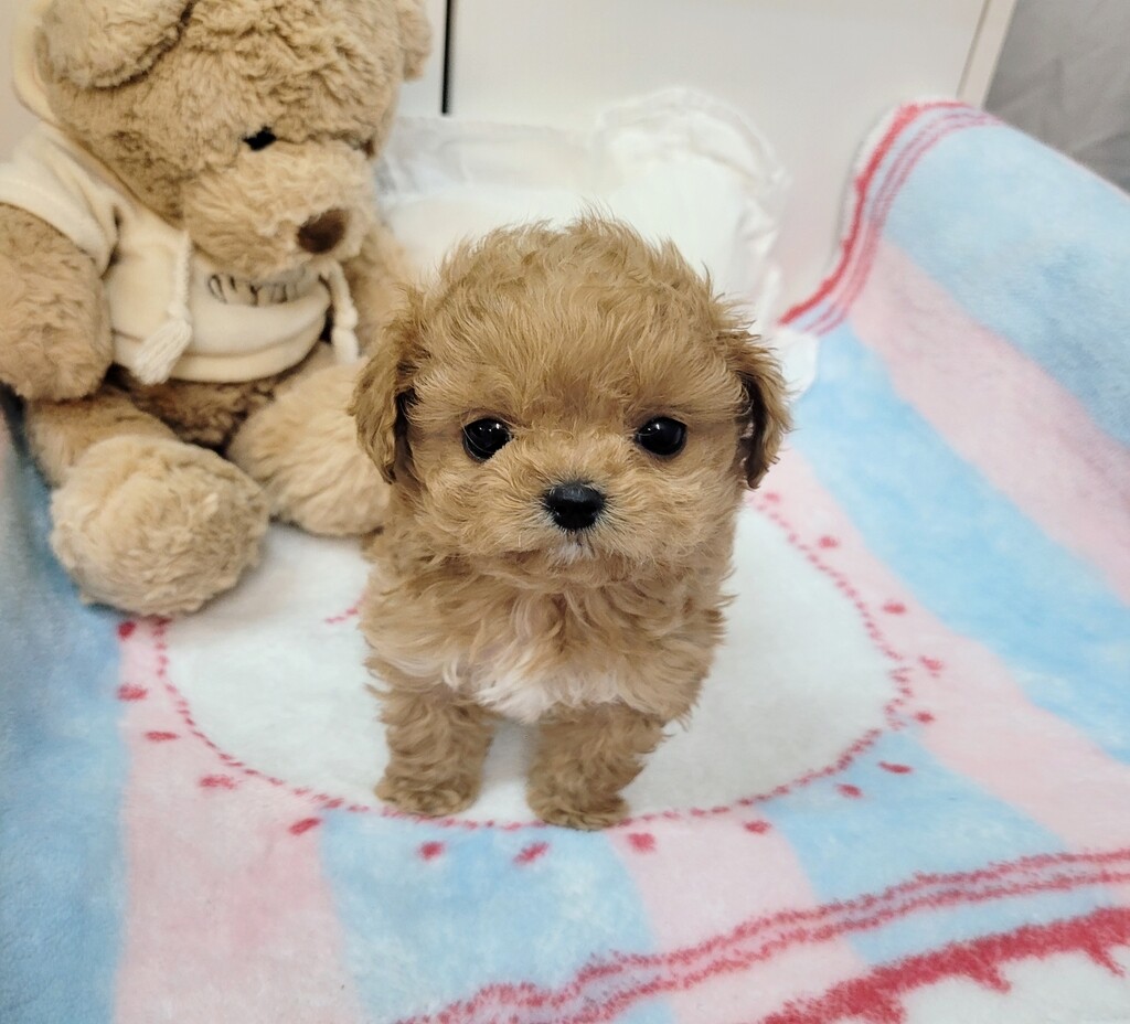 Ȯ�� �̹���