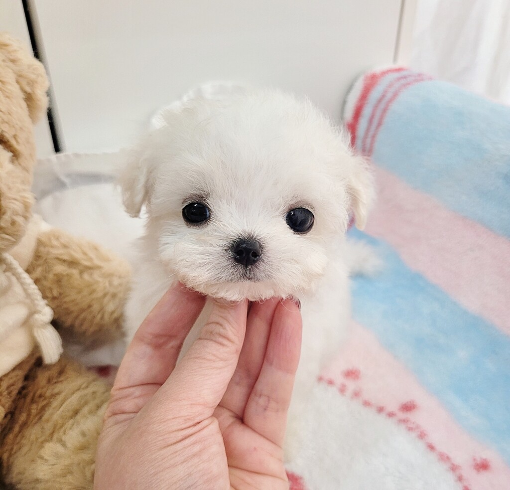 Ȯ�� �̹���