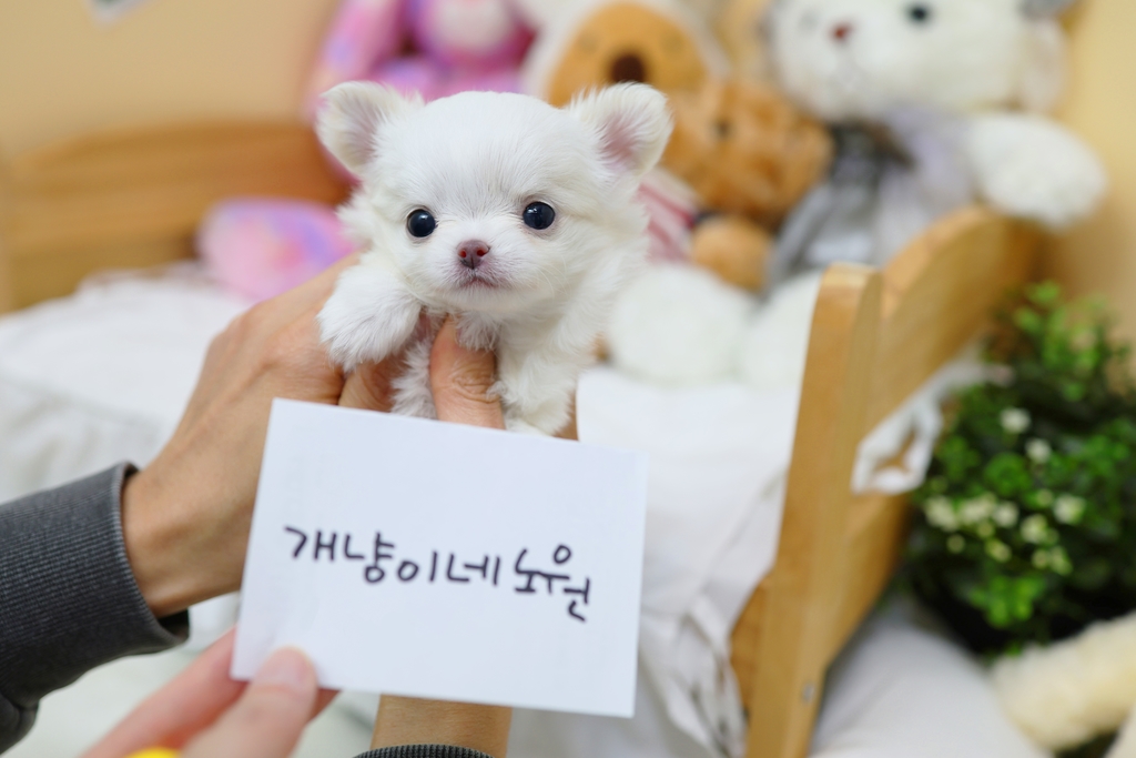 Ȯ�� �̹���