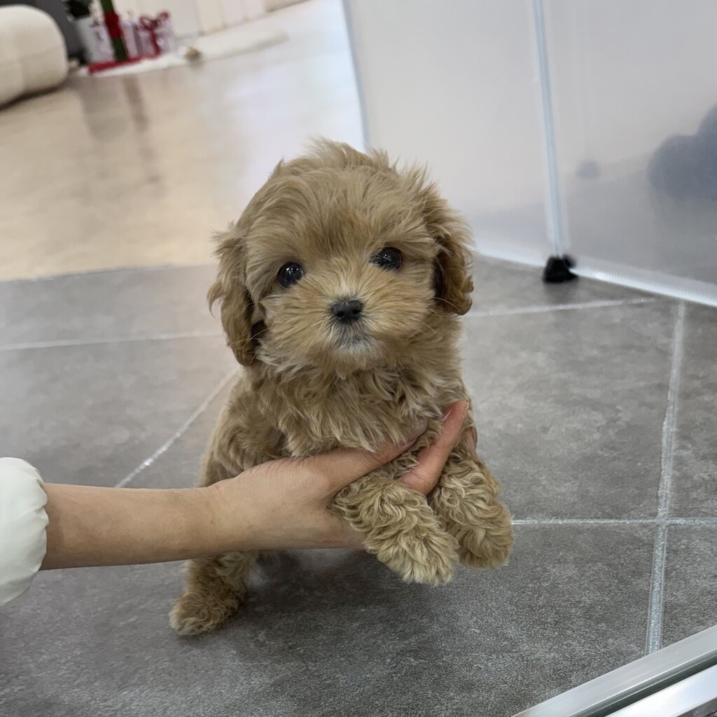 Ȯ�� �̹���