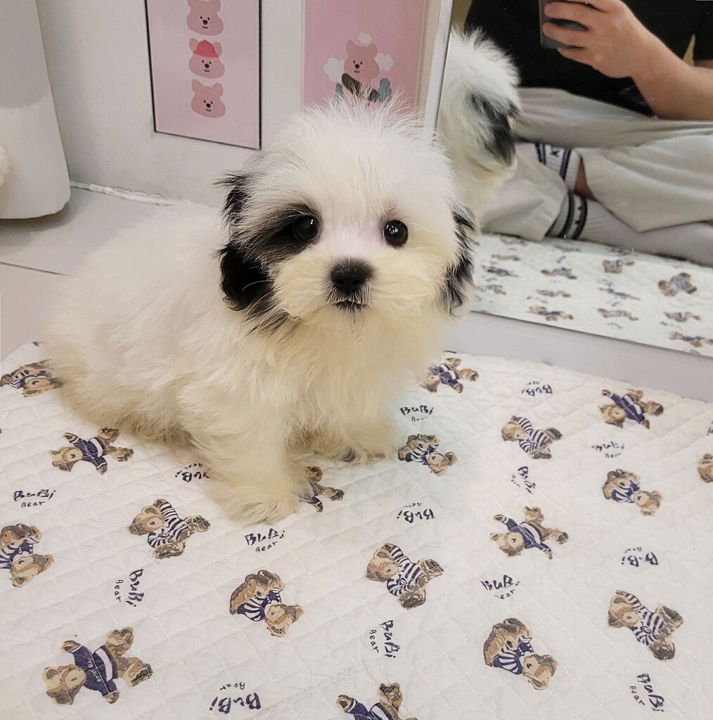 Ȯ�� �̹���