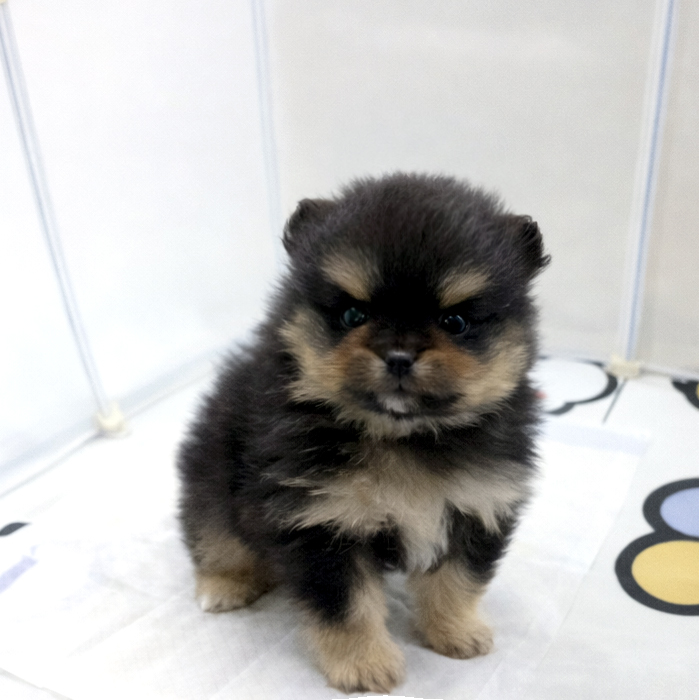 Ȯ�� �̹���