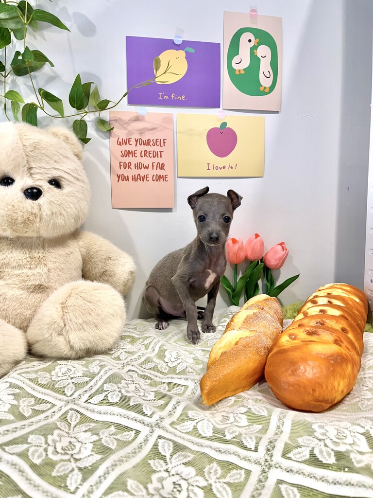 Ȯ�� �̹���