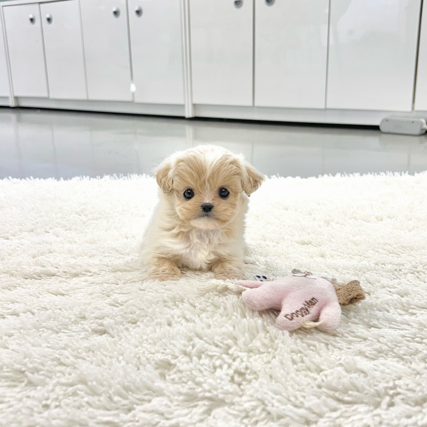 Ȯ�� �̹���