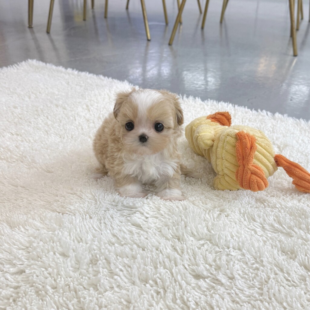 Ȯ�� �̹���