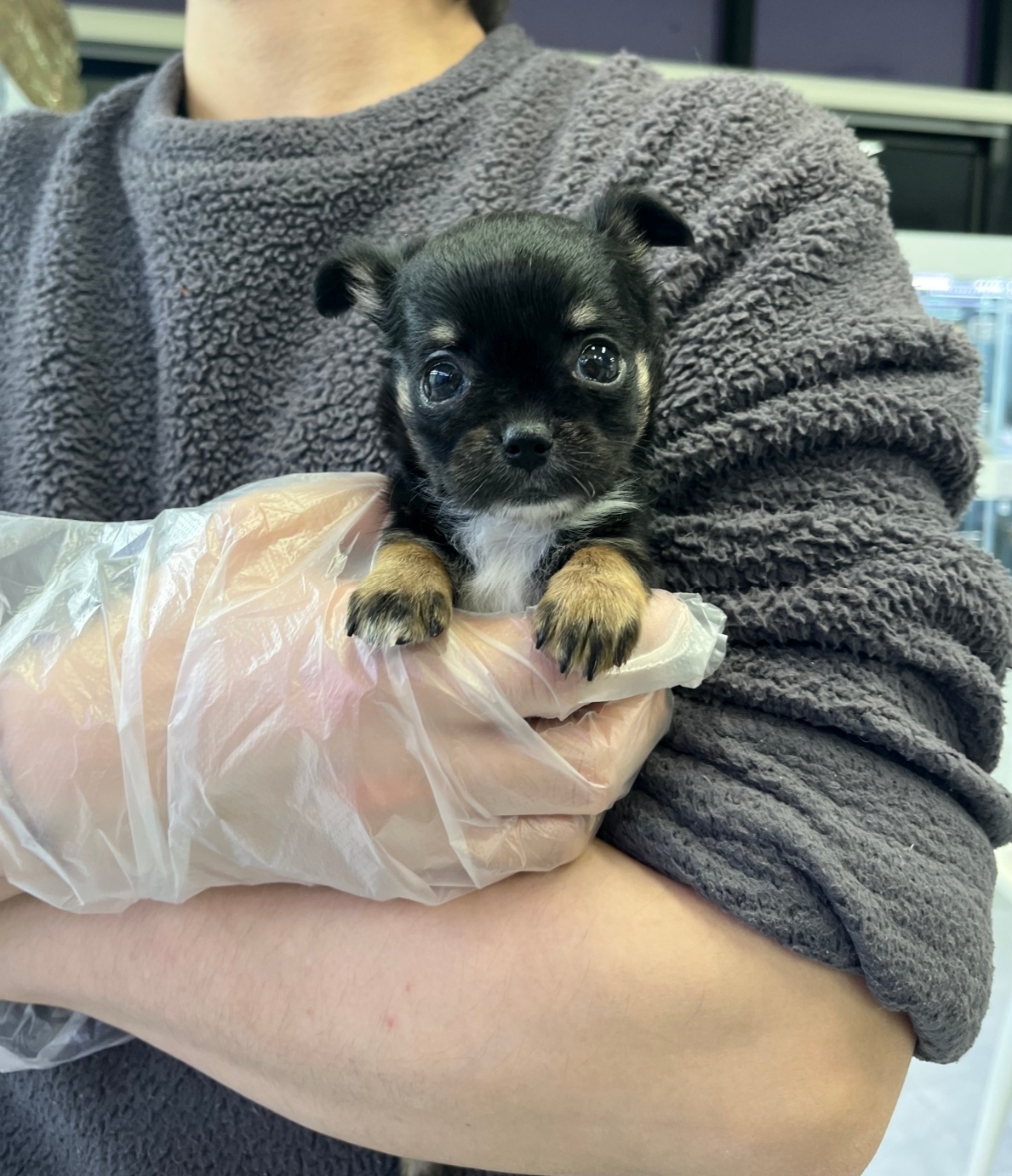 Ȯ�� �̹���