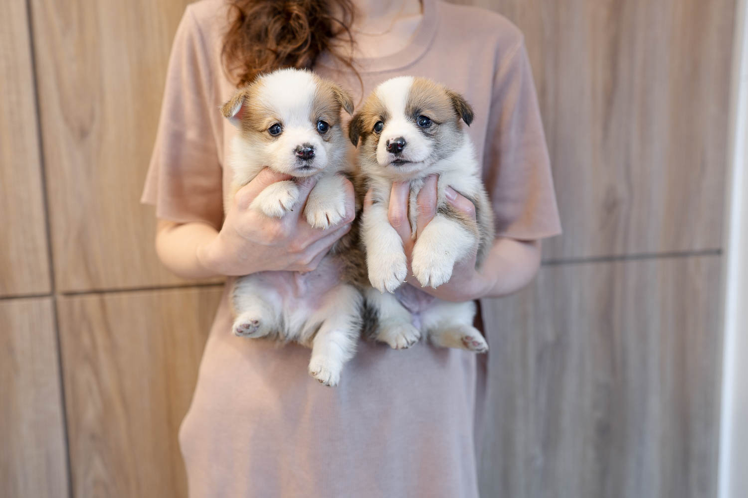 Ȯ�� �̹���