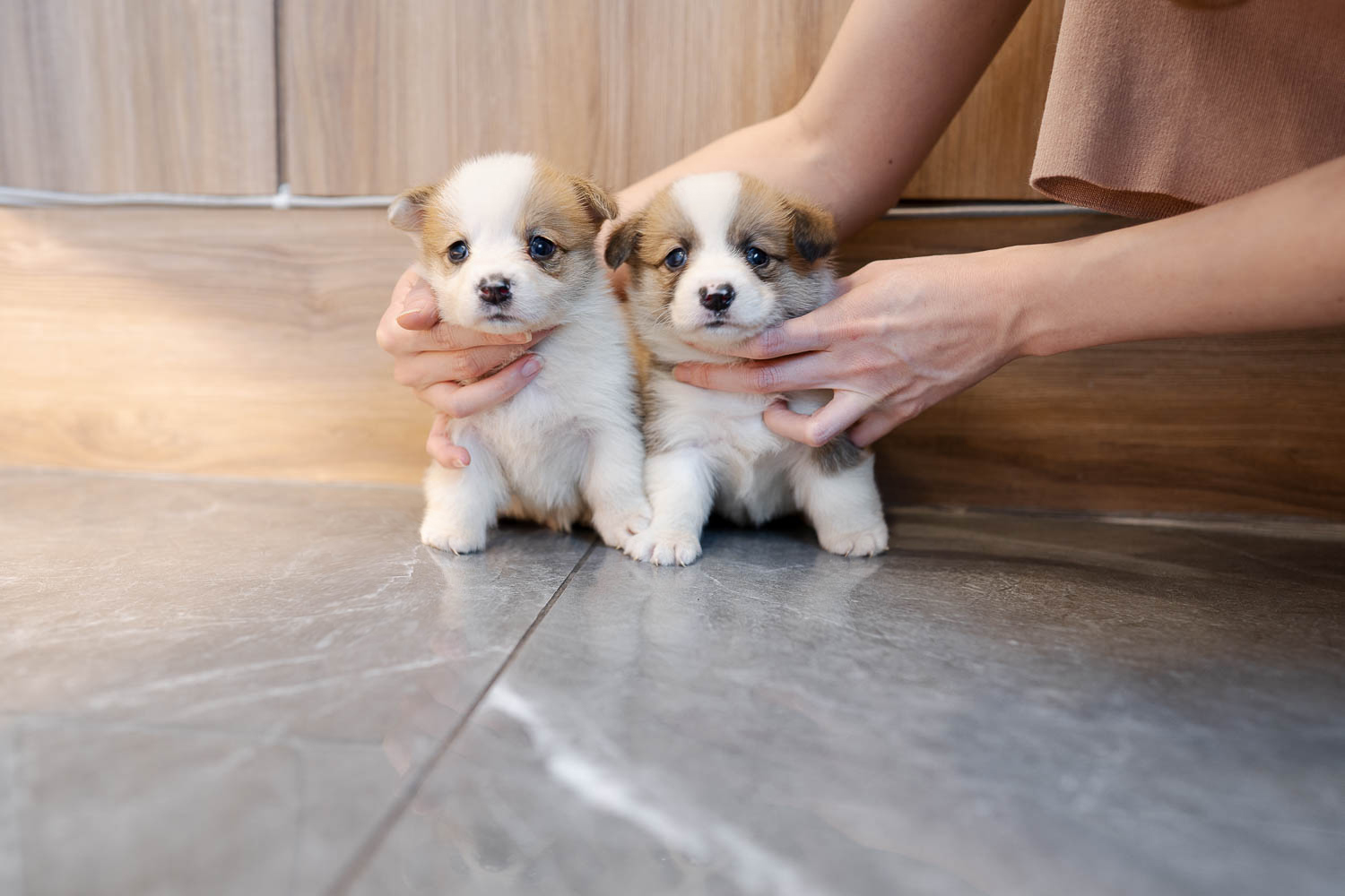 Ȯ�� �̹���