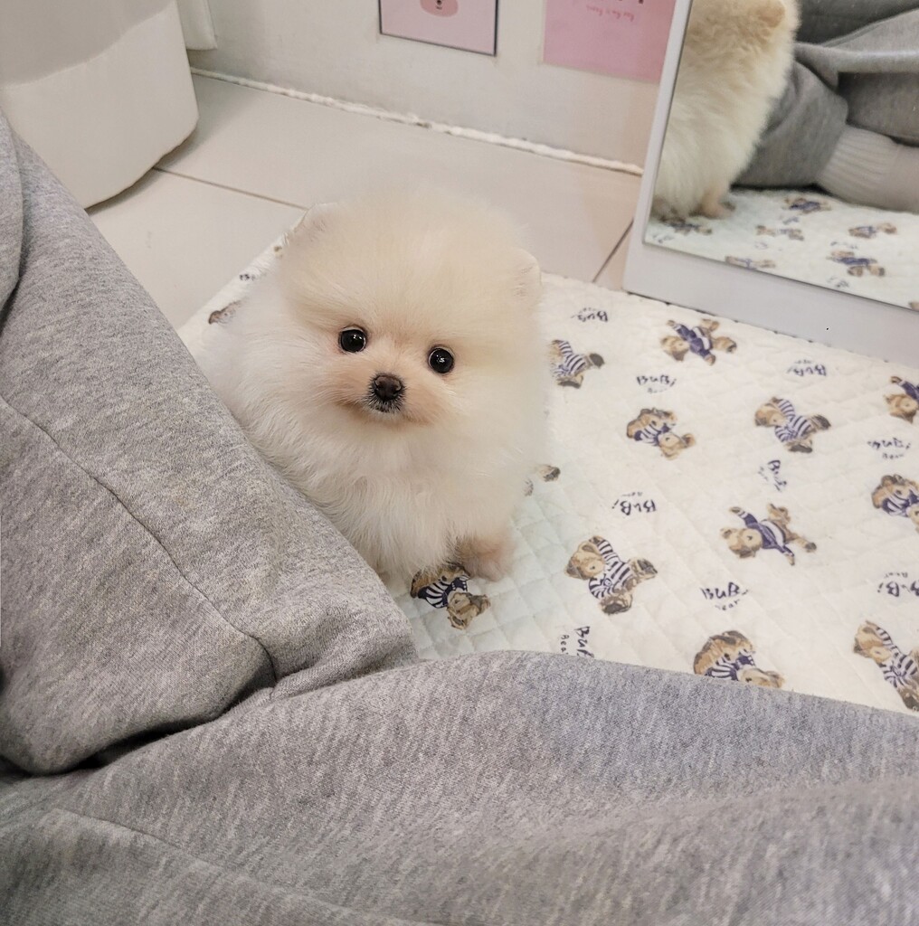 Ȯ�� �̹���