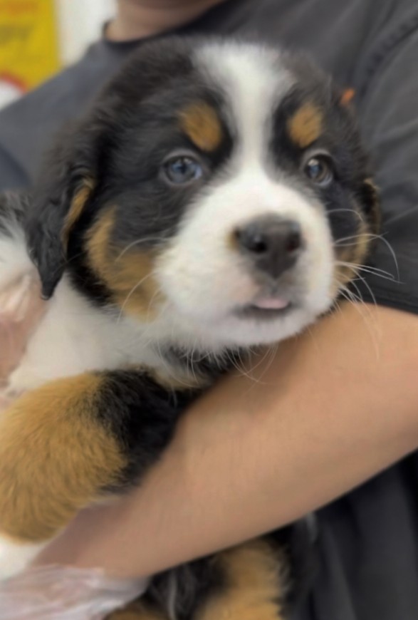 Ȯ�� �̹���