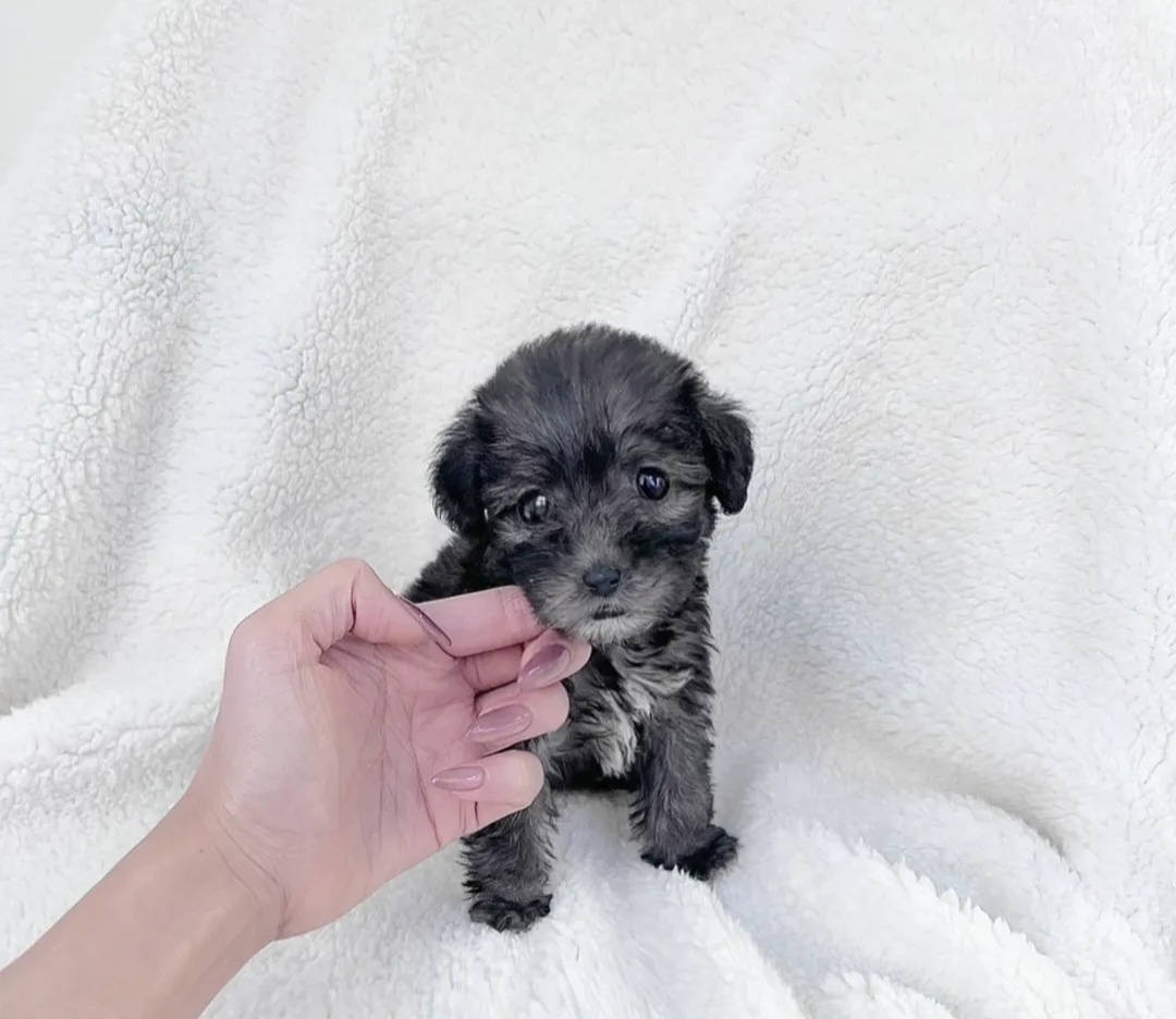 Ȯ�� �̹���