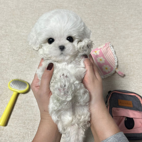 Ȯ�� �̹���