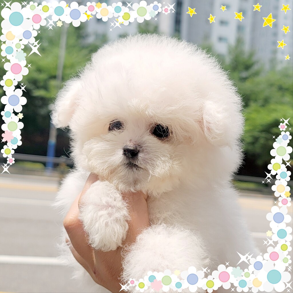 Ȯ�� �̹���