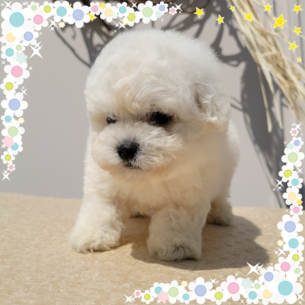 Ȯ�� �̹���