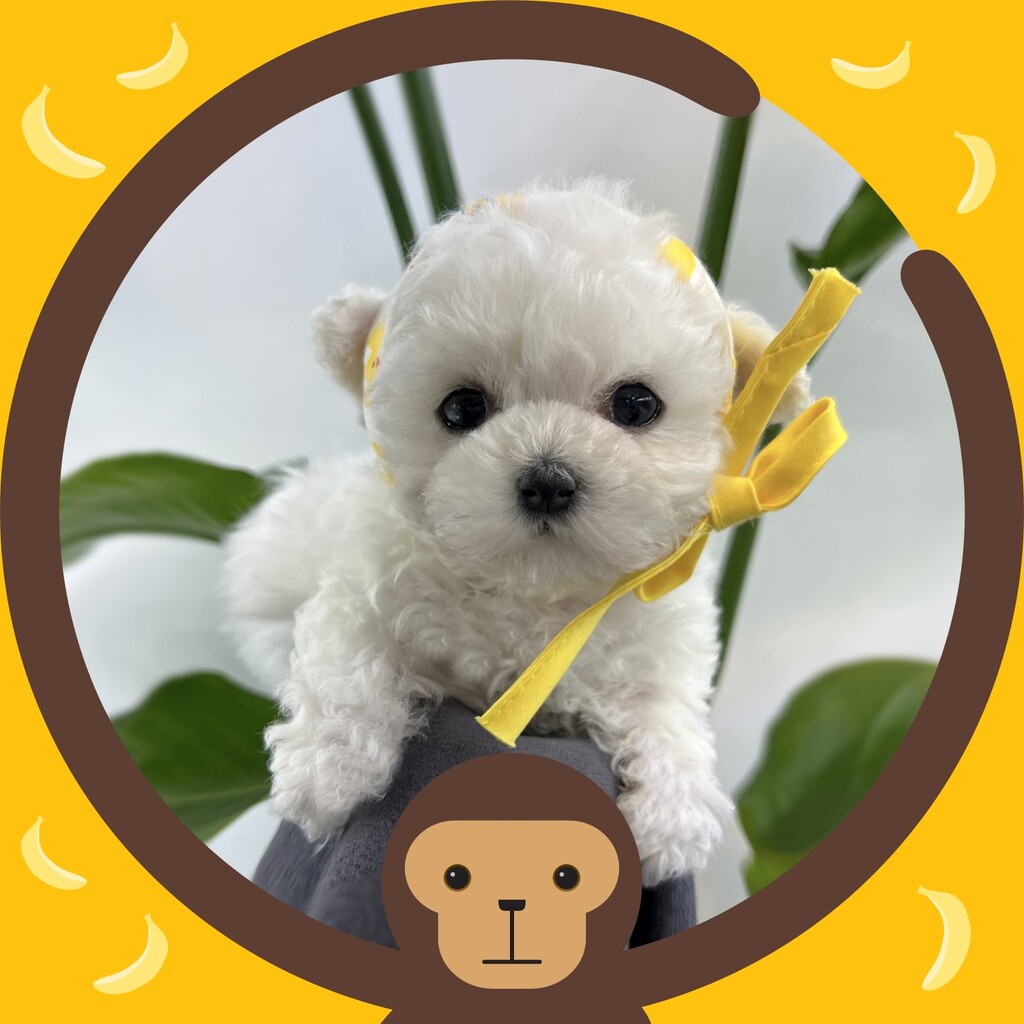 Ȯ�� �̹���