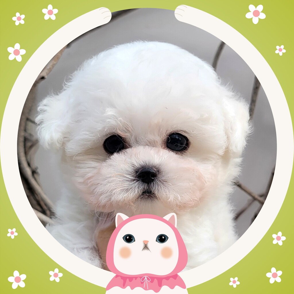 Ȯ�� �̹���