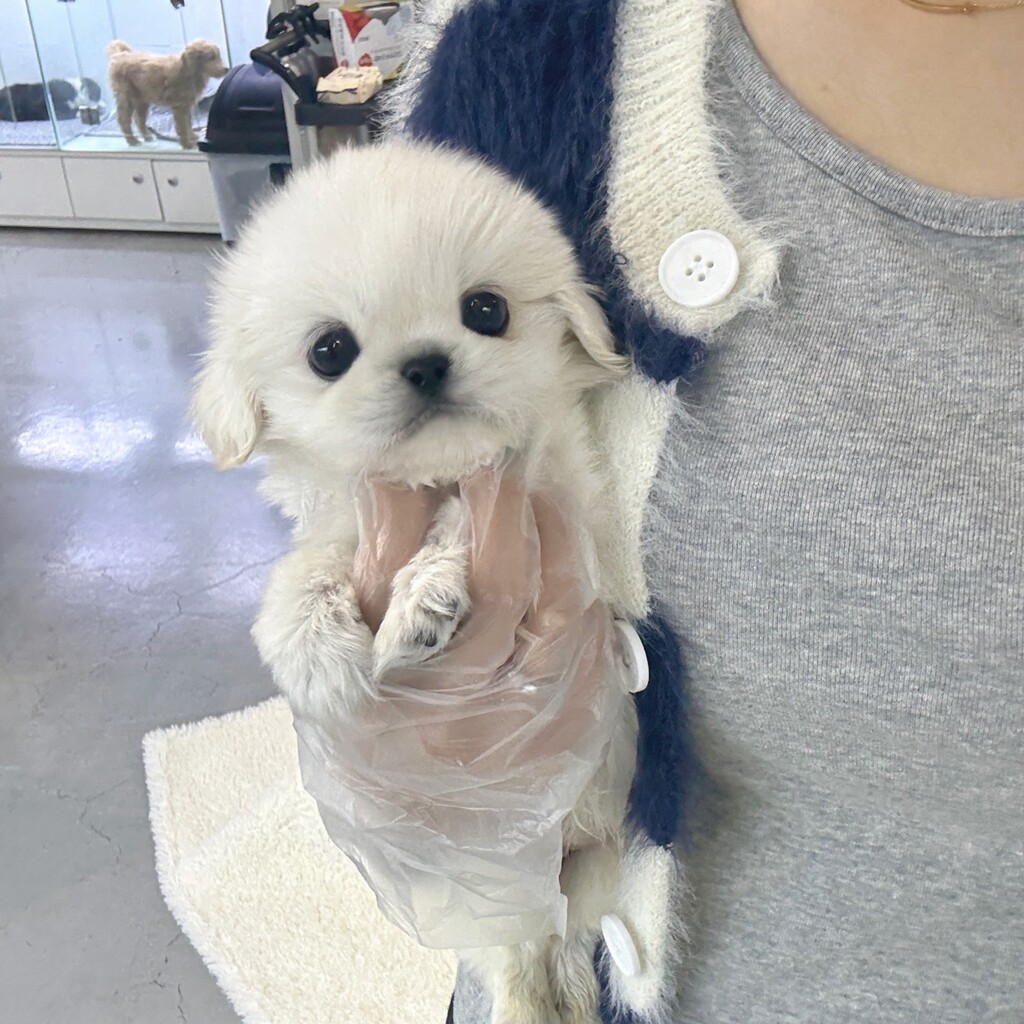 Ȯ�� �̹���