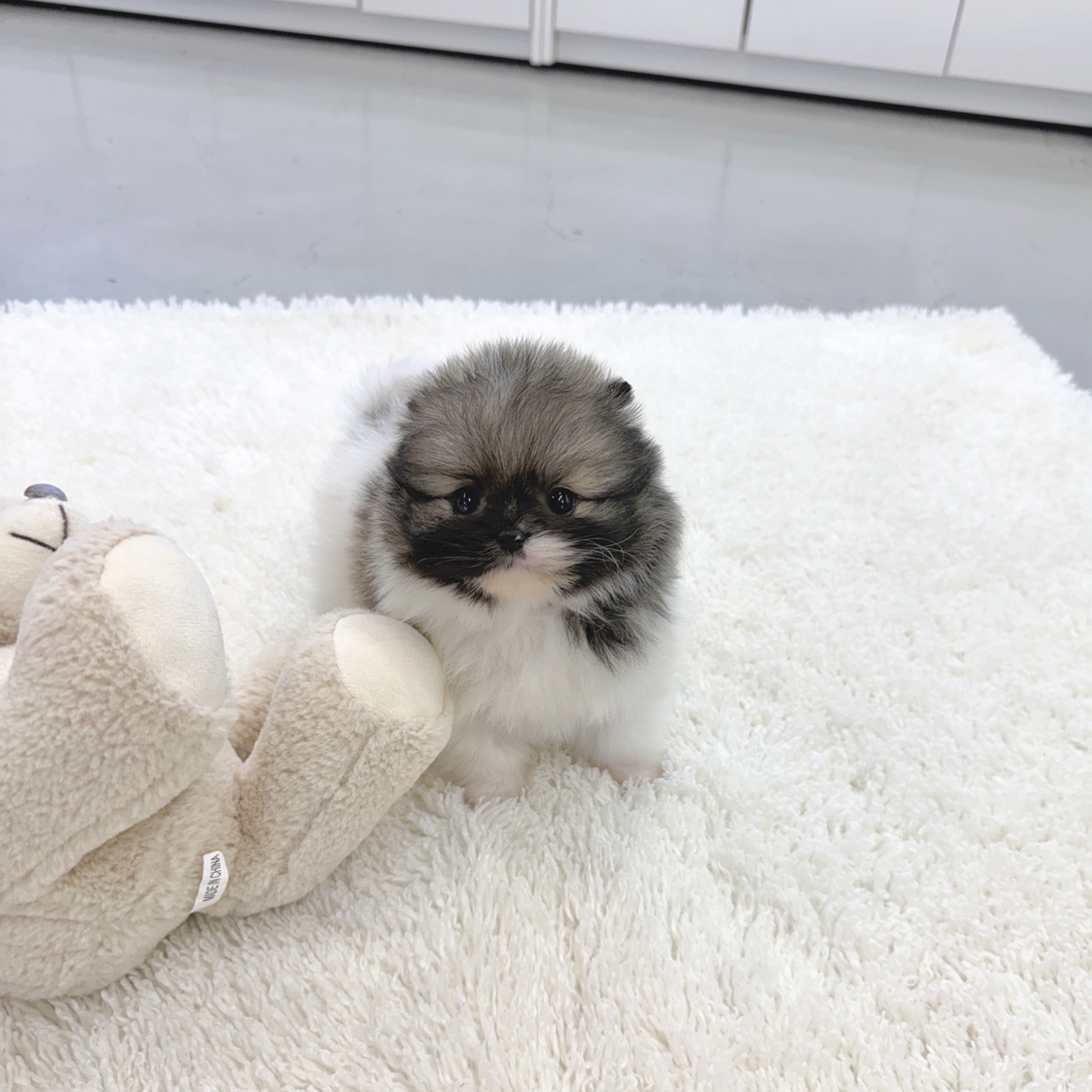 Ȯ�� �̹���