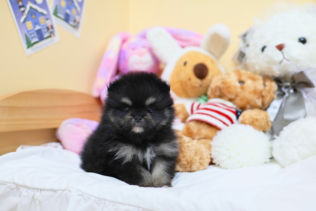 Ȯ�� �̹���