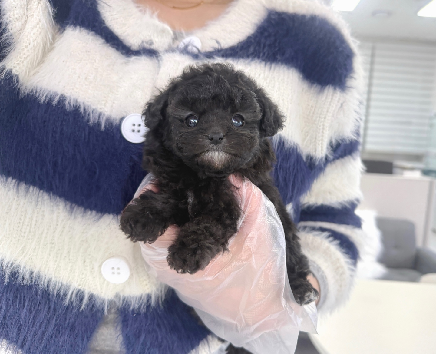 Ȯ�� �̹���