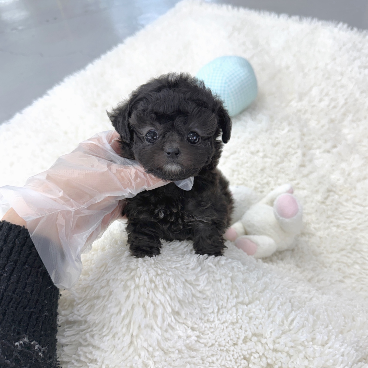 Ȯ�� �̹���