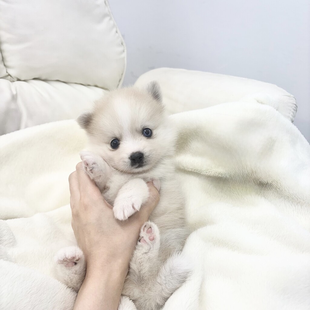 Ȯ�� �̹���