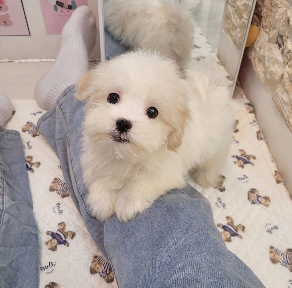 Ȯ�� �̹���