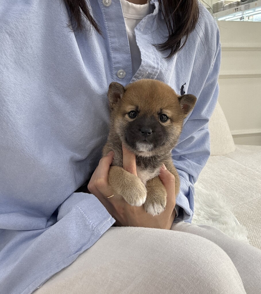 Ȯ�� �̹���