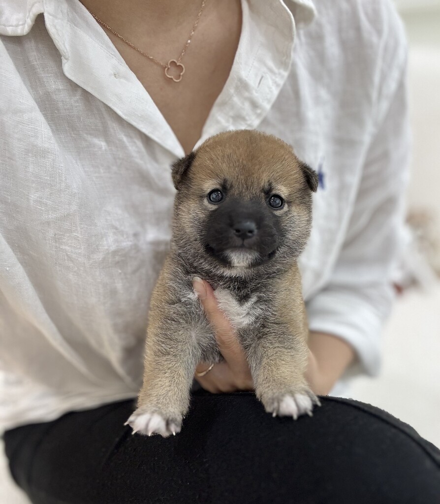 Ȯ�� �̹���