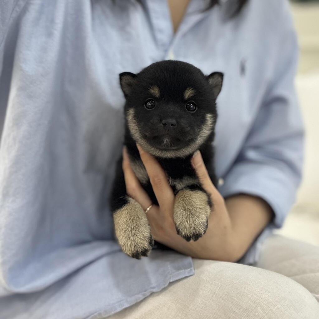 Ȯ�� �̹���