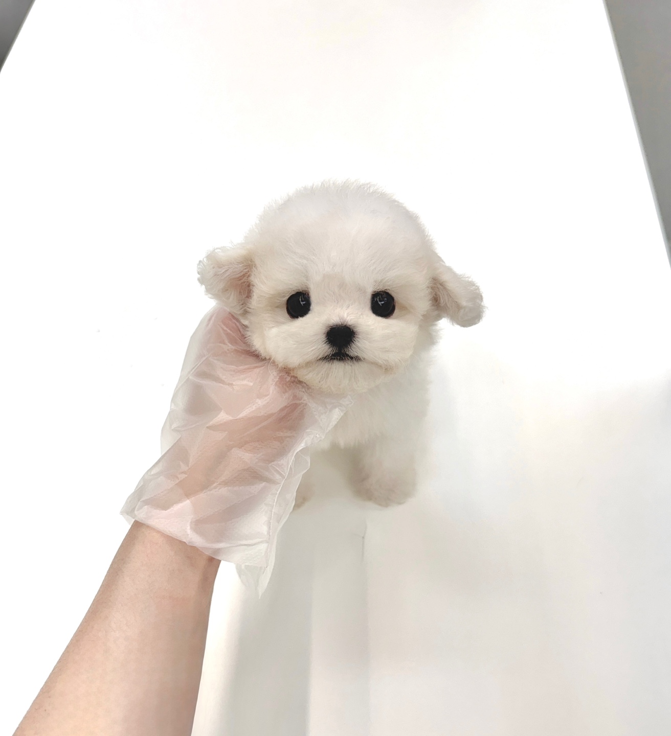 Ȯ�� �̹���