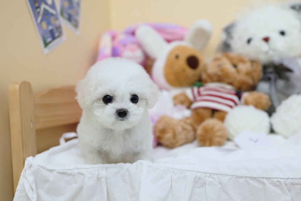 Ȯ�� �̹���