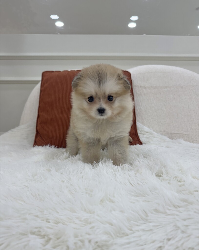 Ȯ�� �̹���