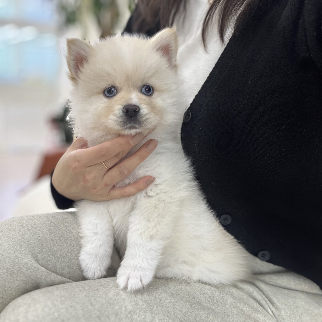 Ȯ�� �̹���