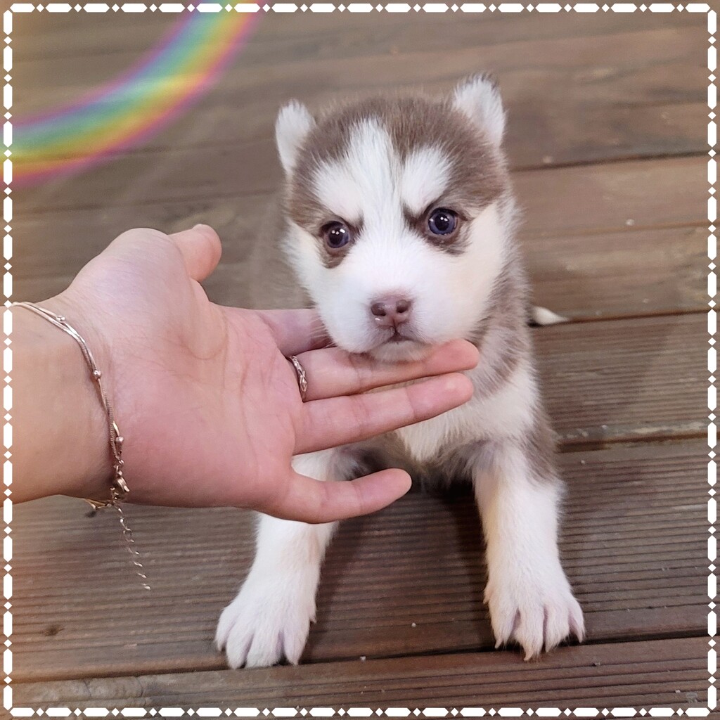 Ȯ�� �̹���